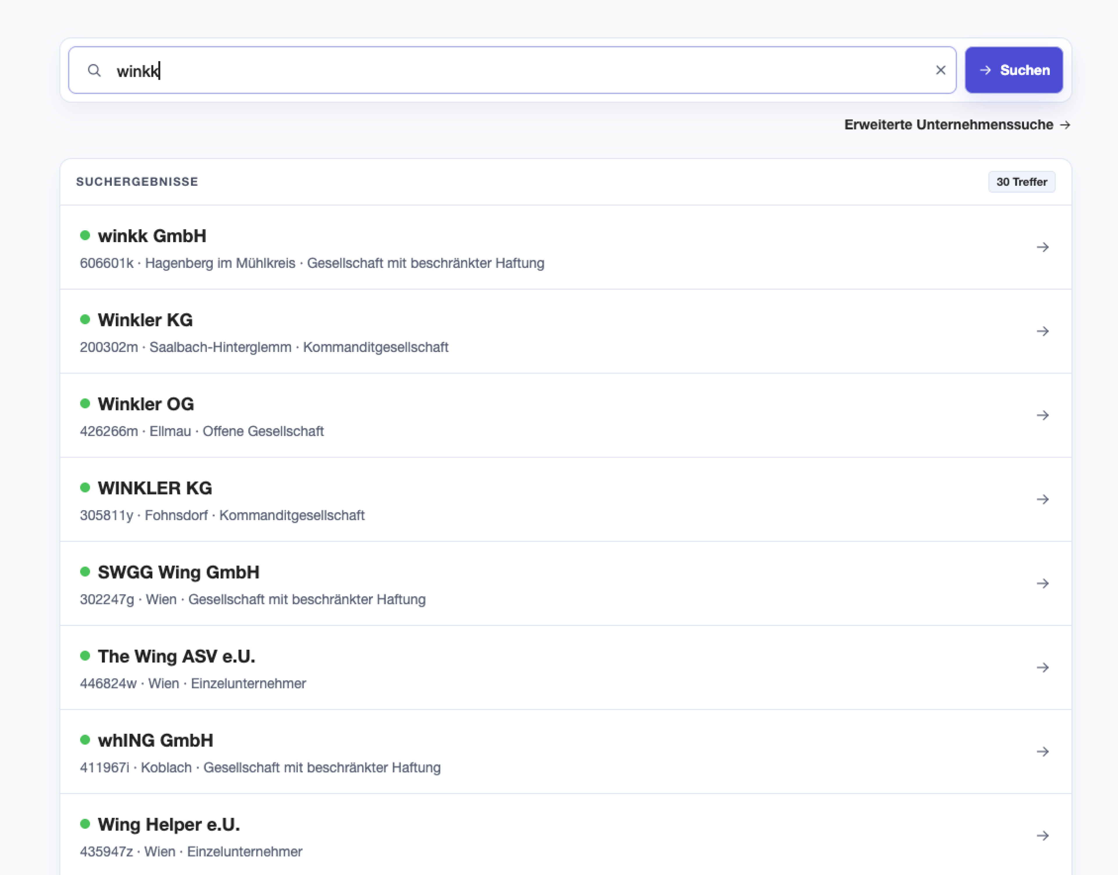 Screenshot der Premium-Analyse mit KI-Ergebnissen